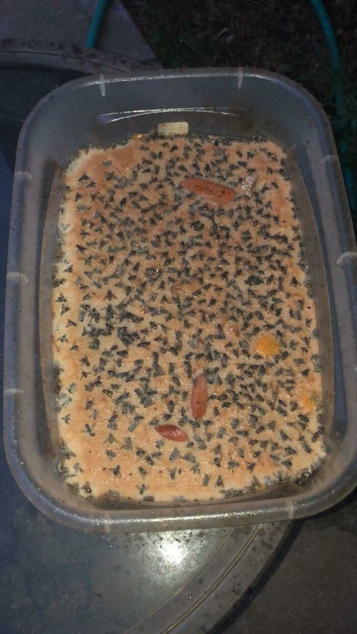 Marinade That’s Been Out For A Week