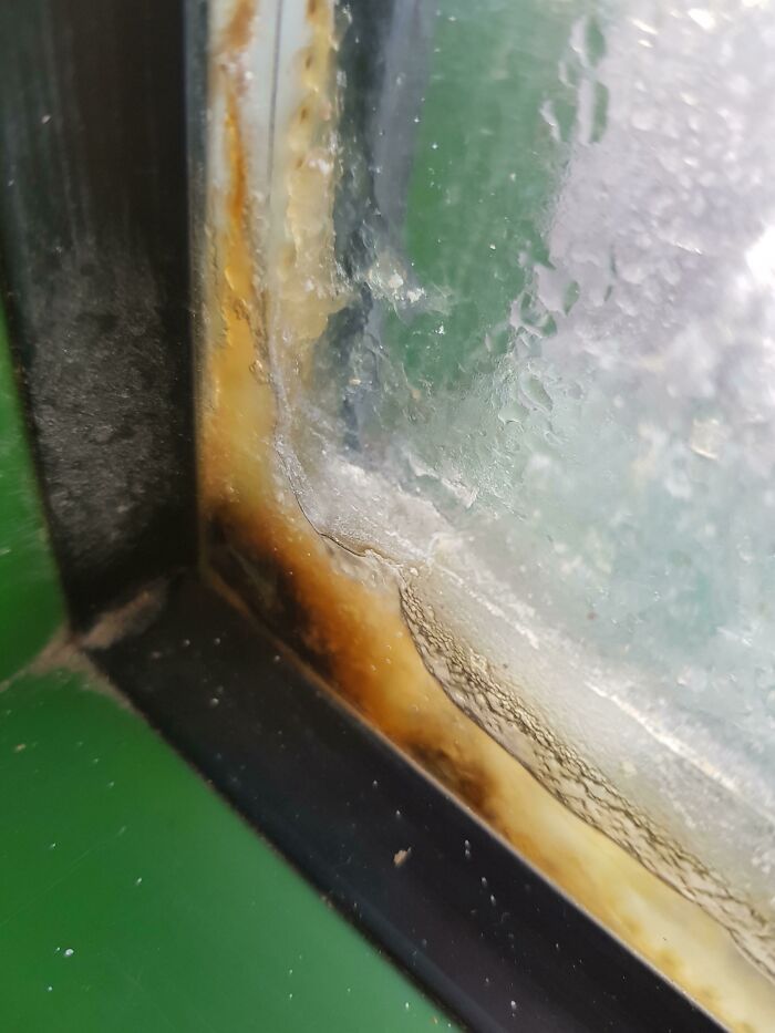 The Build-Up Between The Double Glazing At My School