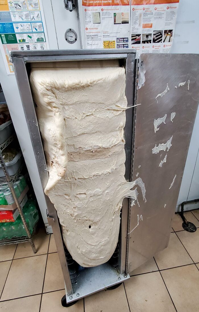 Someone Forgot To Put The Bread In The Fridge Last Night