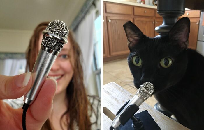 Mic-On-The-Go: Your Mini Portable Vocal Microphone Companion