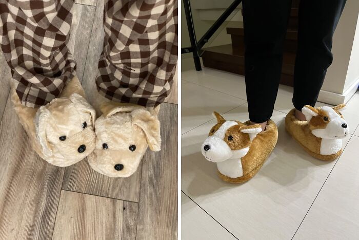 Paws & Relax: Cozy Up In Fuzzy Dog Slippers By Silver Lilly!