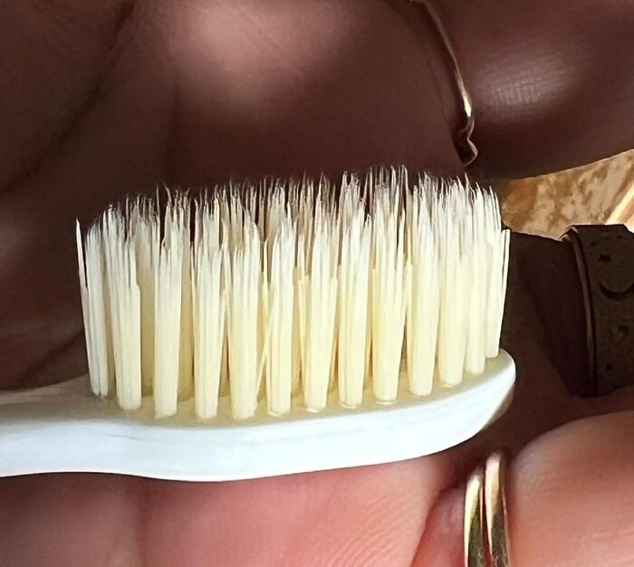 Upgrade Your Smile Game: Dr. Plotka's Extra Soft Flossing Toothbrush!