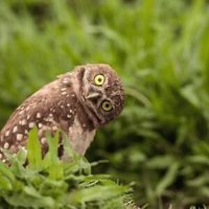 mary_birkholz avatar