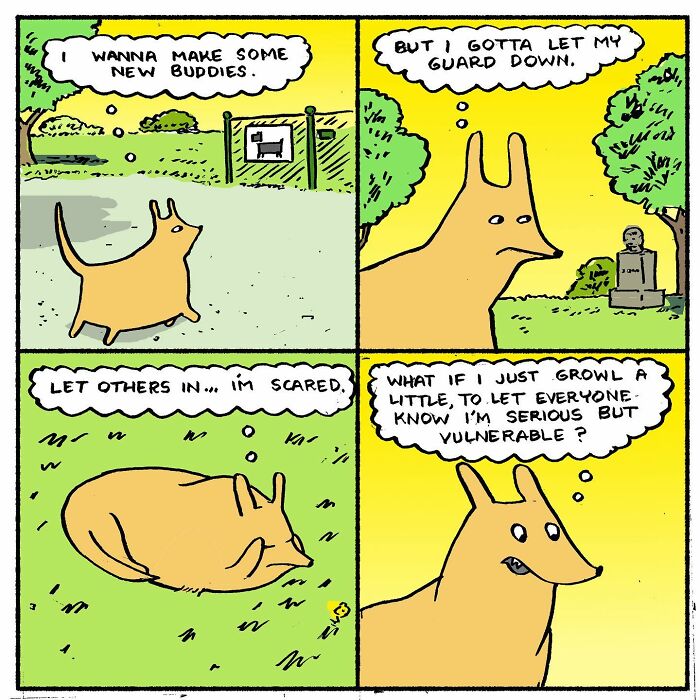 Meet Hammy, The Yellow Dog Who Conquered The Internet With His Unique Personality