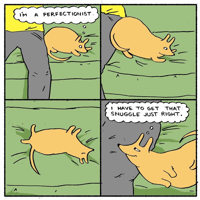 Meet Hammy, The Yellow Dog Who Conquered The Internet With His Unique Personality