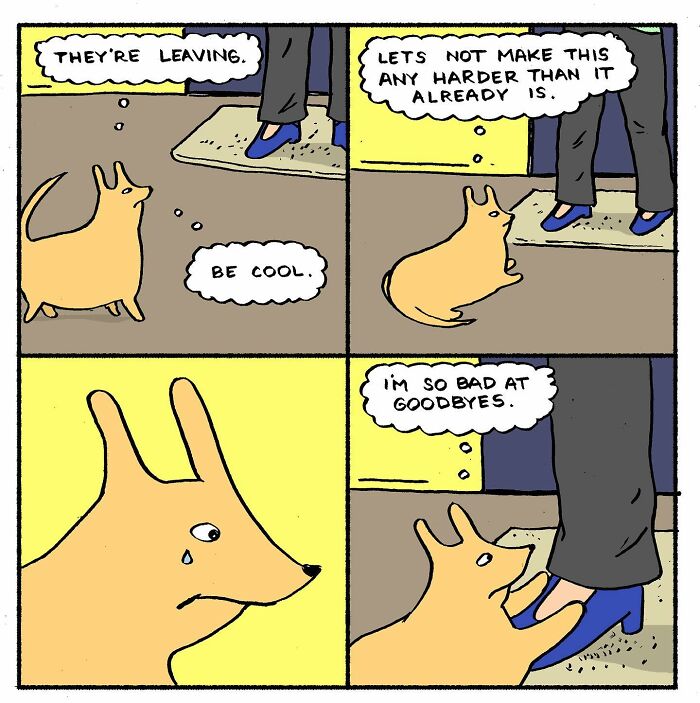 Meet Hammy, The Yellow Dog Who Conquered The Internet With His Unique Personality