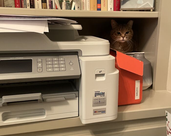 This Is Nala. Nala Is Weird