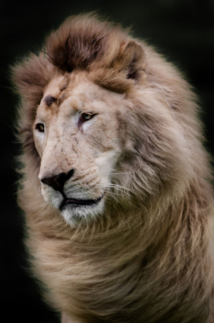 Here Are My Best Animal Photographs Taken In The Past Year (30 Pics)