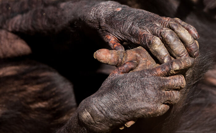 Here Are My Best Animal Photographs Taken In The Past Year (30 Pics)