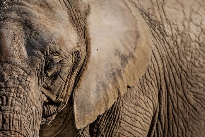 Here Are My Best Animal Photographs Taken In The Past Year (30 Pics)