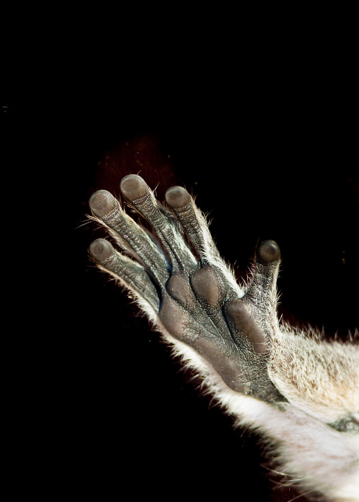 Here Are My Best Animal Photographs Taken In The Past Year (30 Pics)