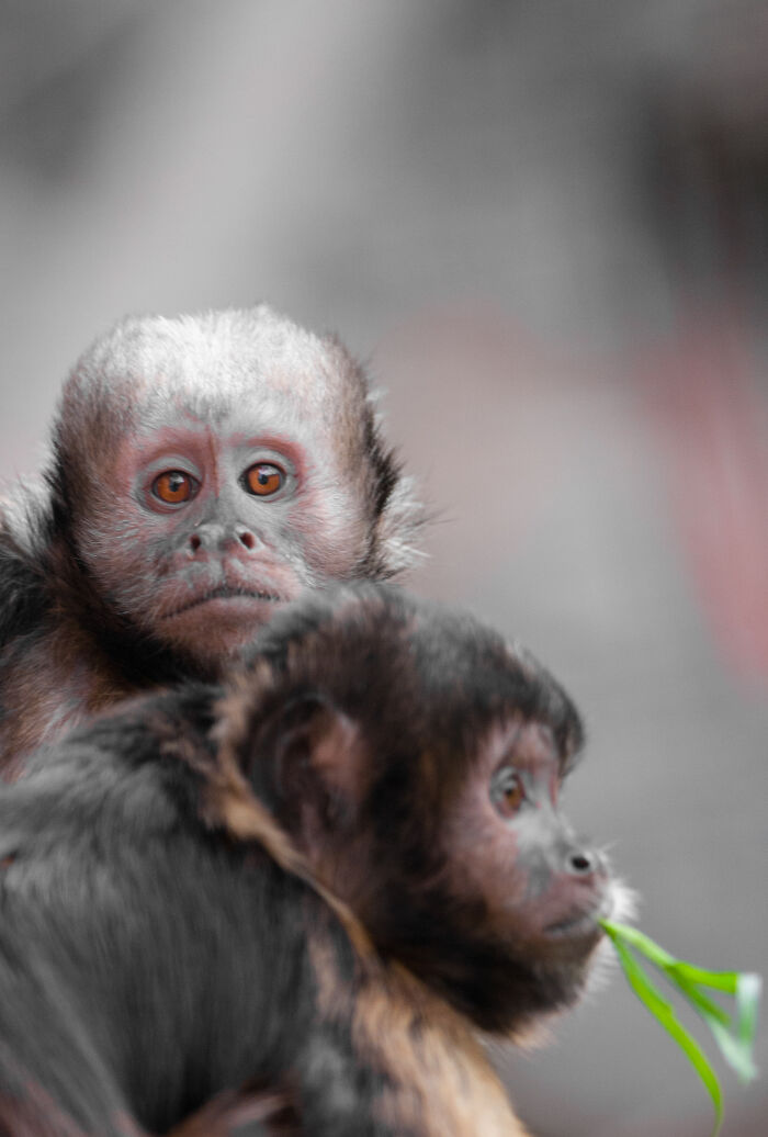 Here Are My Best Animal Photographs Taken In The Past Year (30 Pics)