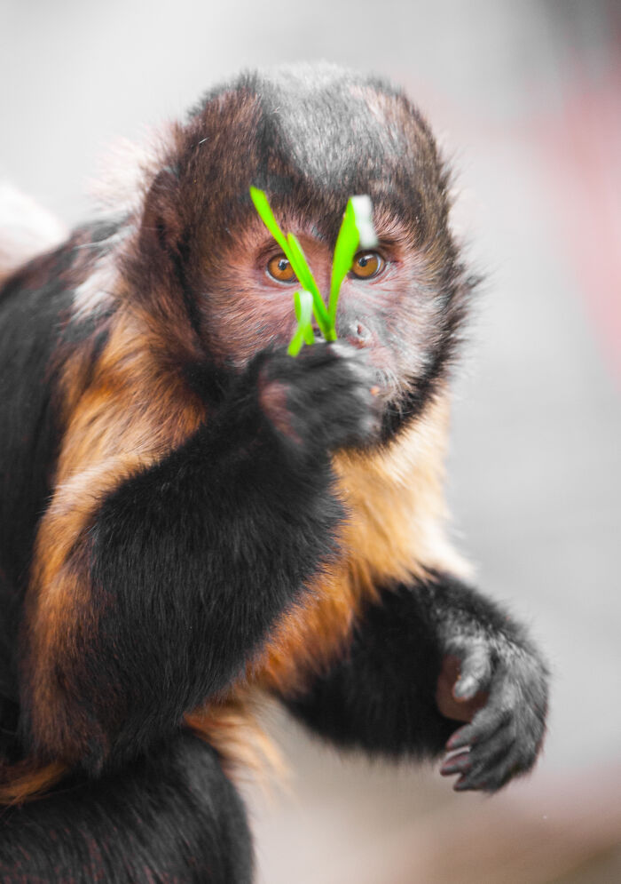 Here Are My Best Animal Photographs Taken In The Past Year (30 Pics)