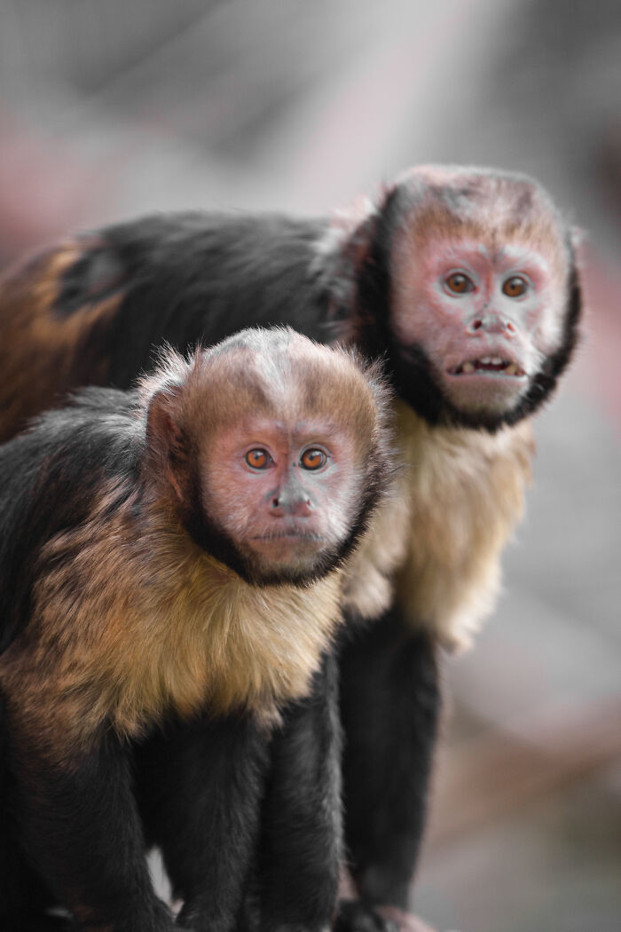 Here Are My Best Animal Photographs Taken In The Past Year (30 Pics)