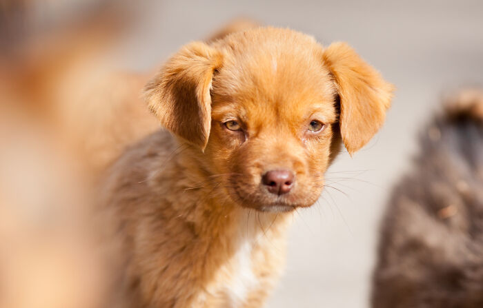 Here Are My Best Animal Photographs Taken In The Past Year (30 Pics)