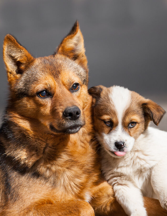 Here Are My Best Animal Photographs Taken In The Past Year (30 Pics)