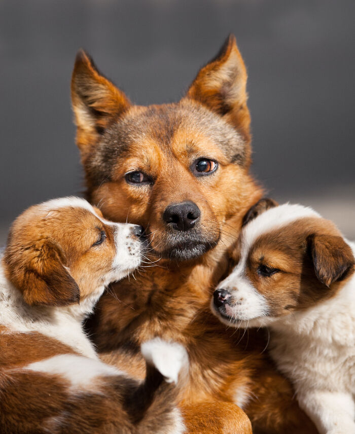 Here Are My Best Animal Photographs Taken In The Past Year (30 Pics)