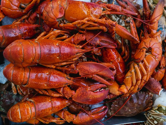 People Online Trashed These Well-Known Food Hacks That Are Useless In Real Life (28 Responses)