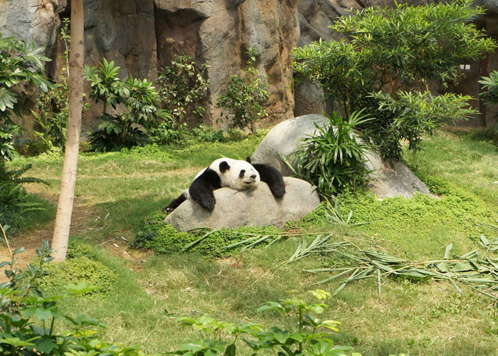 “What’s Your Favorite True Statistic That Makes People Do A Double Take When They Hear It?” (30 Answers)