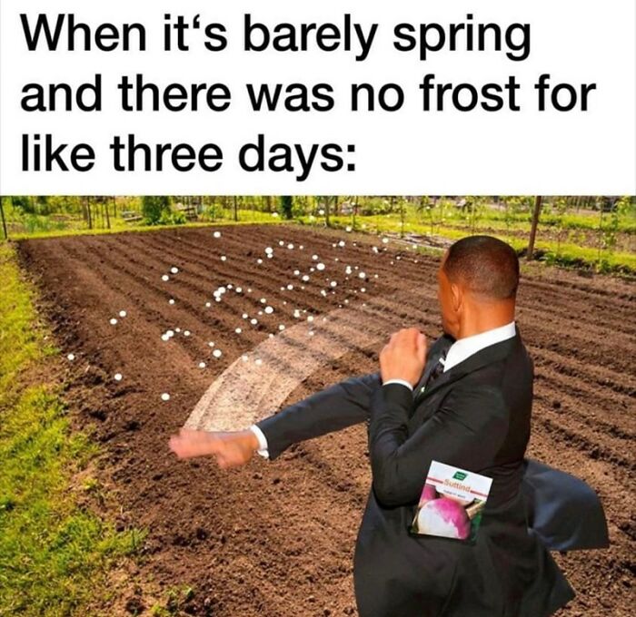 Man humorously throwing seeds in a field, welcoming spring with joy and flaws.