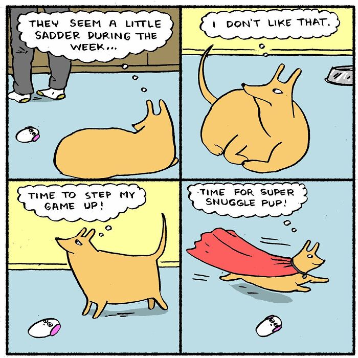 Meet Hammy, The Yellow Dog Who Conquered The Internet With His Unique Personality