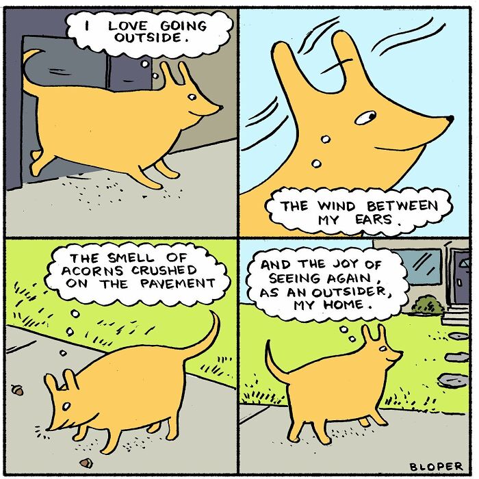 Meet Hammy, The Yellow Dog Who Conquered The Internet With His Unique Personality