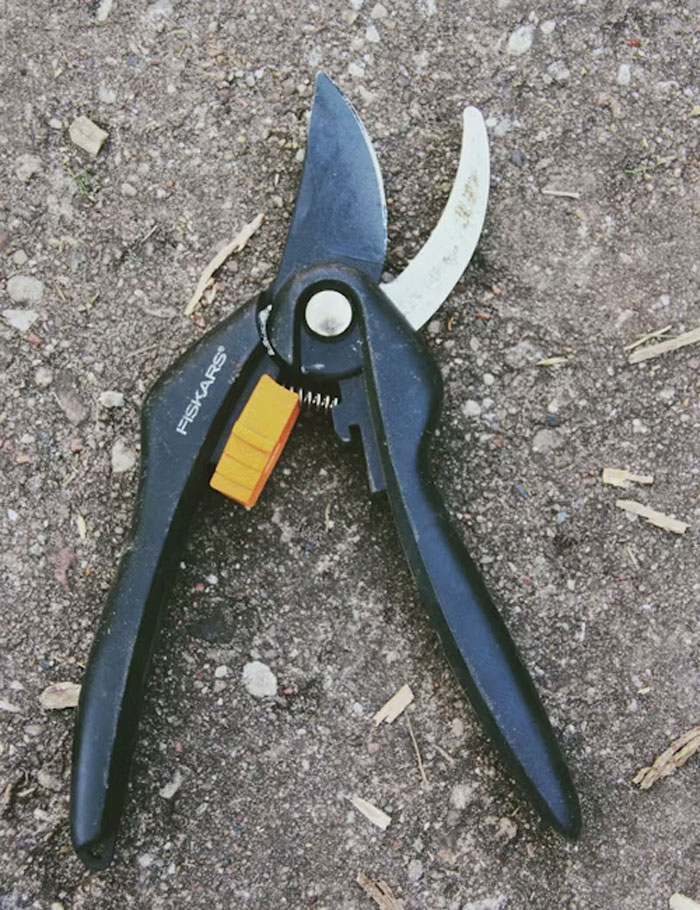 "¿Qué empresas tienen estándares de calidad extremadamente altos para sus productos?": 20 respuestas inesperadas