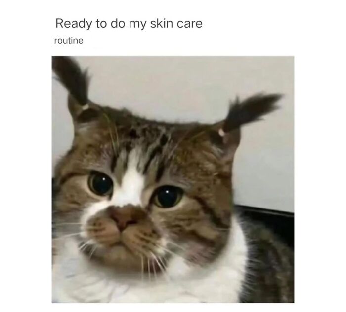 Funny-Nice-Relatable-Memes