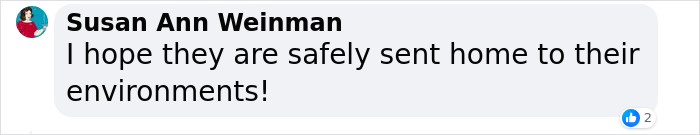 Six People Caught Trying To Smuggle 87 Animals In Major Wildlife Trafficking Bust