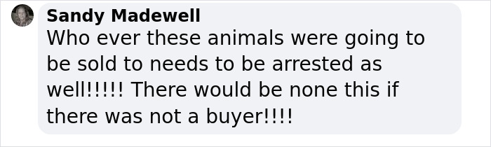 Six People Caught Trying To Smuggle 87 Animals In Major Wildlife Trafficking Bust