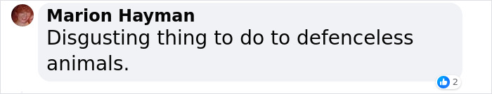 Six People Caught Trying To Smuggle 87 Animals In Major Wildlife Trafficking Bust