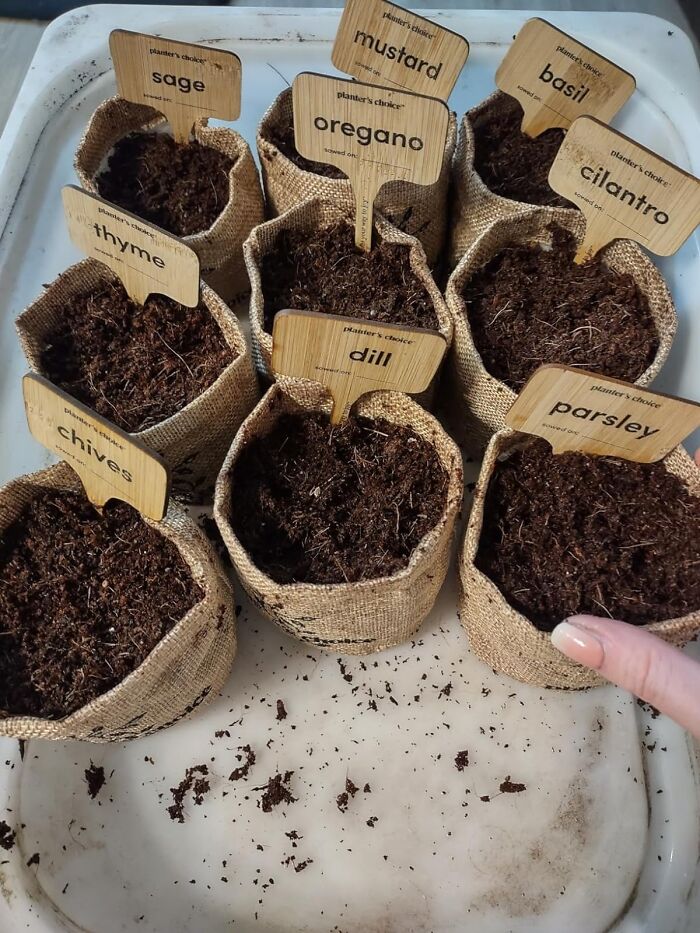 Sprout Your Own Flavor: 9 Herb Indoor Window Garden Kit Grows Freshness!