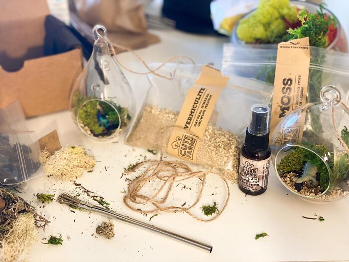 Green Thumb Fun: Cute Farms Terrarium Kit With Glass For Lush Mini Worlds