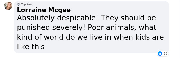 Boy, 9, Put In Care Program After Strangling 11 Animals At Petting Zoo
