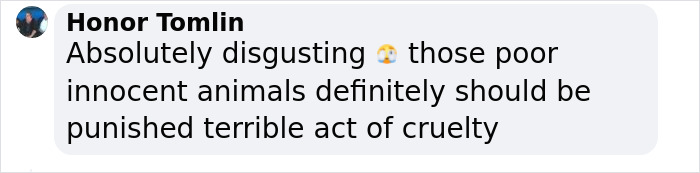 Boy, 9, Put In Care Program After Strangling 11 Animals At Petting Zoo