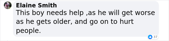 Boy, 9, Put In Care Program After Strangling 11 Animals At Petting Zoo