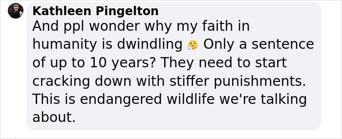 Six People Caught Trying To Smuggle 87 Animals In Major Wildlife Trafficking Bust