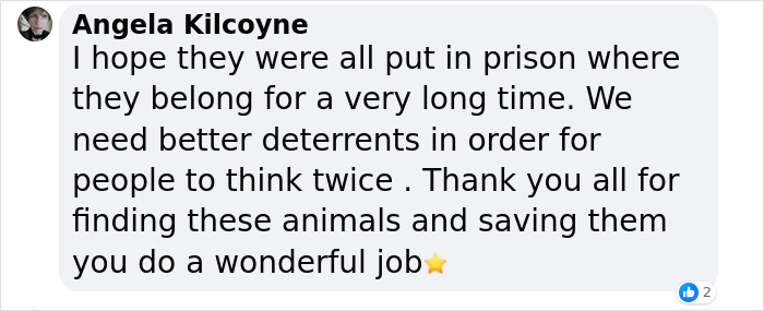 Six People Caught Trying To Smuggle 87 Animals In Major Wildlife Trafficking Bust