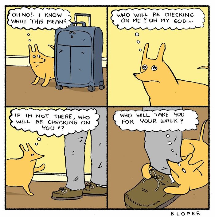 Meet Hammy, The Yellow Dog Who Conquered The Internet With His Unique Personality