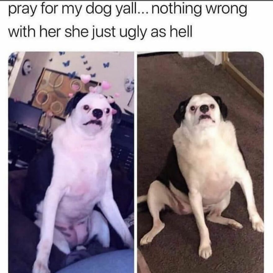 I'm Sorry For This😂😂😂😂😂😂😂😂😂😂