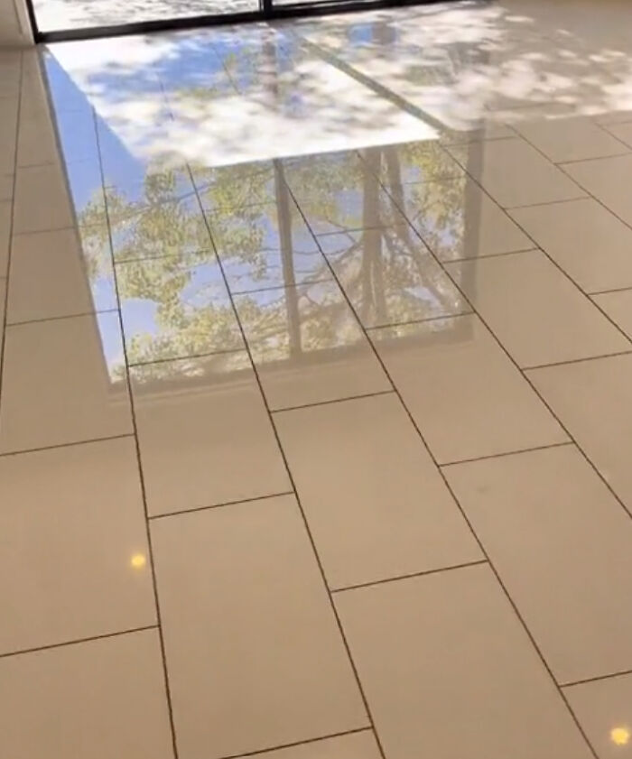 “Trust Me, You Will Regret It”: Cleaner Warns People Against Jumping Onto These Design Trends “Trust Me, You Will Regret It”: Cleaner Warns People Against Jumping Onto These Design Trends