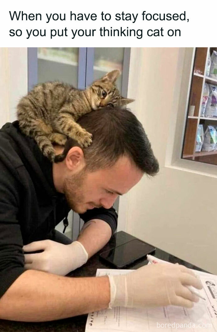 Clever-Science-Memes