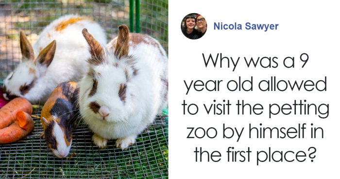 Boy, 9, Put In Care Program After Strangling 11 Animals At Petting Zoo