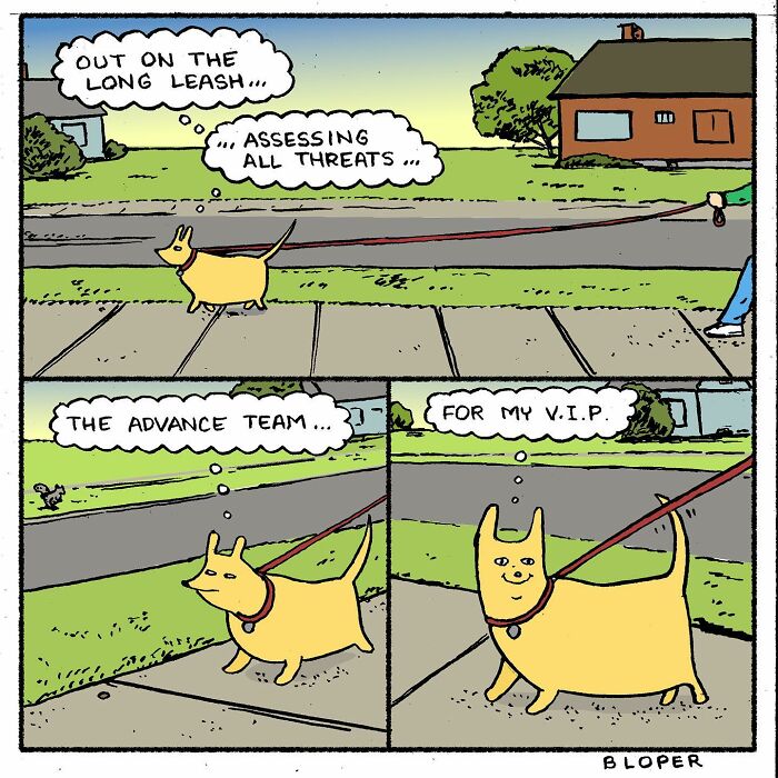 Meet Hammy, The Yellow Dog Who Conquered The Internet With His Unique Personality