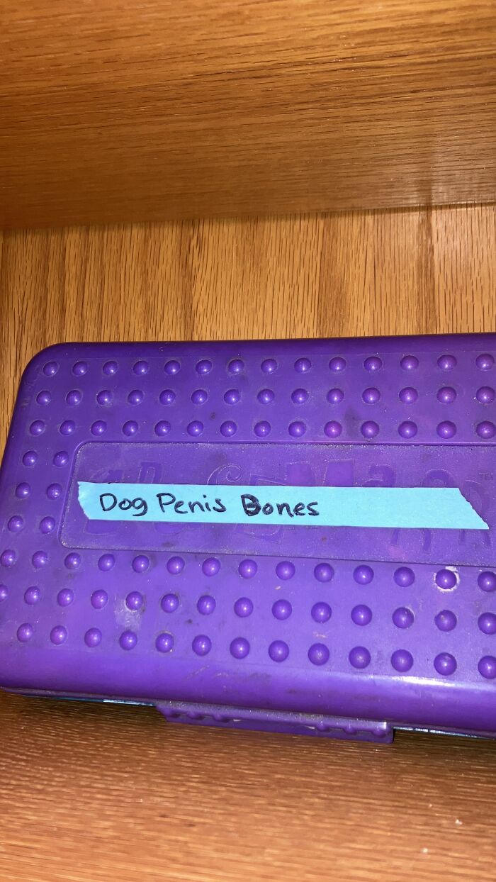 I Work At A Vet School