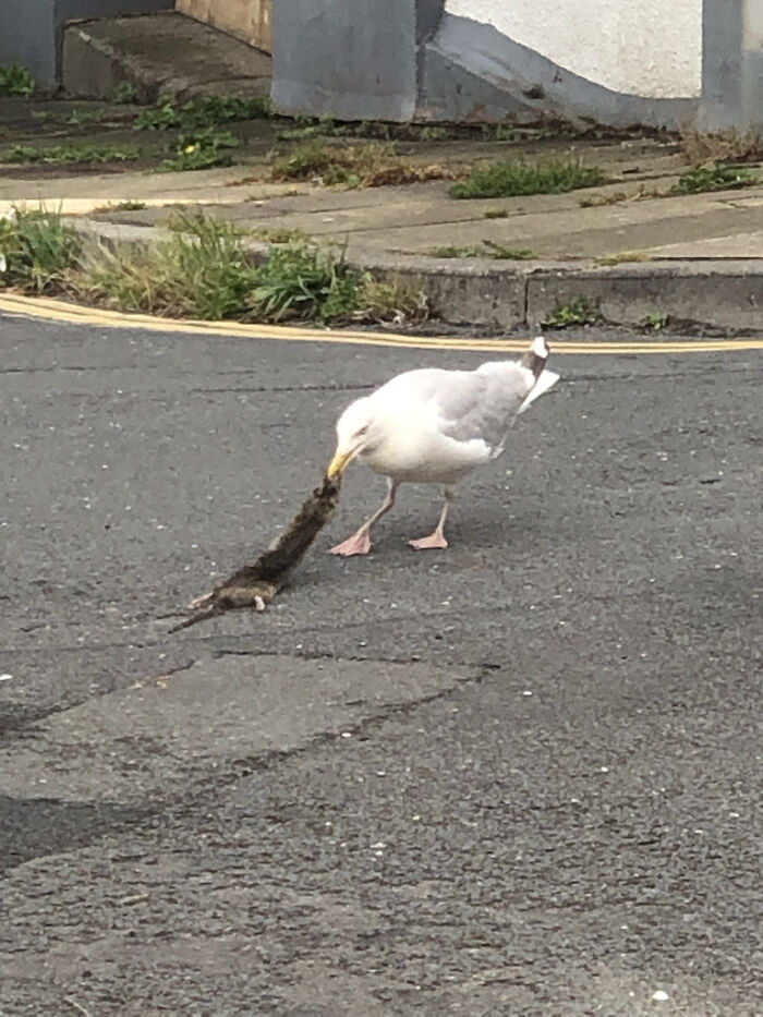 Nature's Boundless Splendor