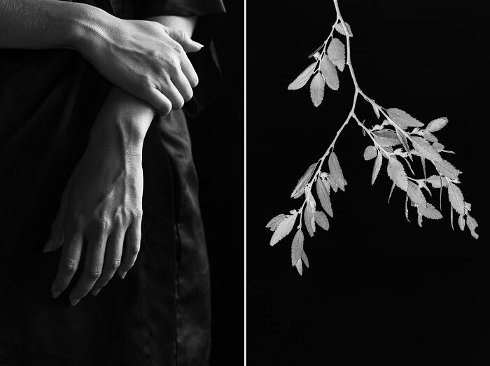 "Interwoven" By Paula Aranoa