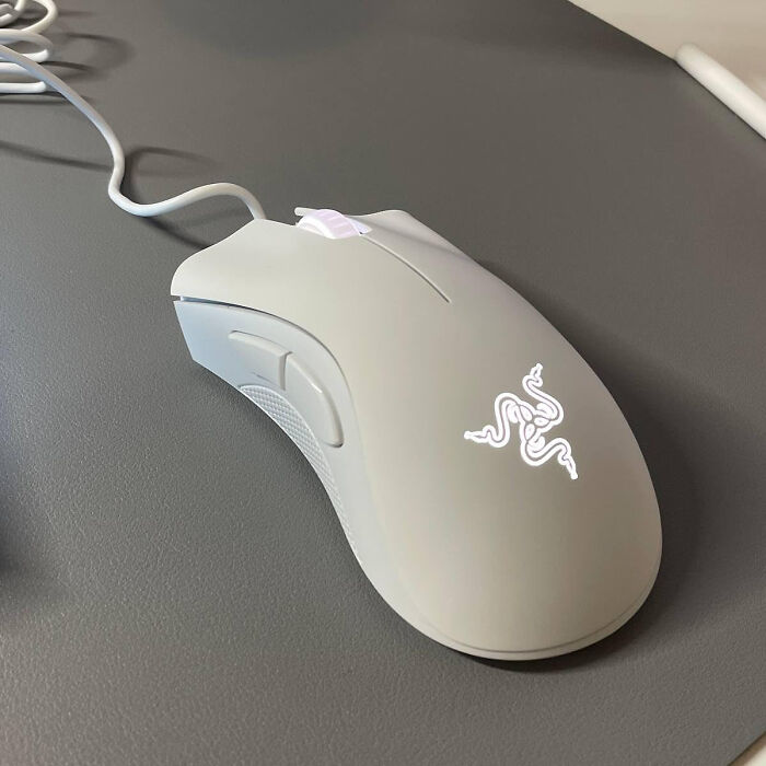 Level Up Your Gaming Experience With Razer Essential Gaming Mouse 