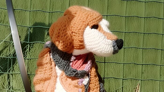 Aquamerito, 11 Years Old