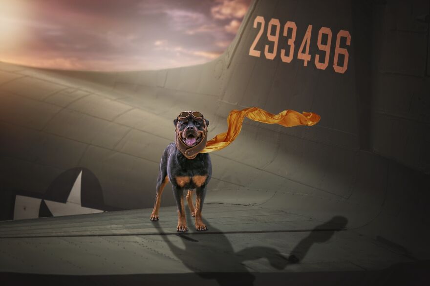 I Photographed 50 Dogs And Photoshopped Them Into Their Alter Egos. Here Are 15 Of My Favorites.